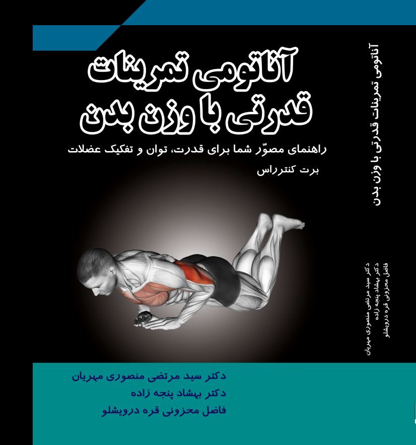 آناتومی  تمرینات قدرتی با وزن بدن