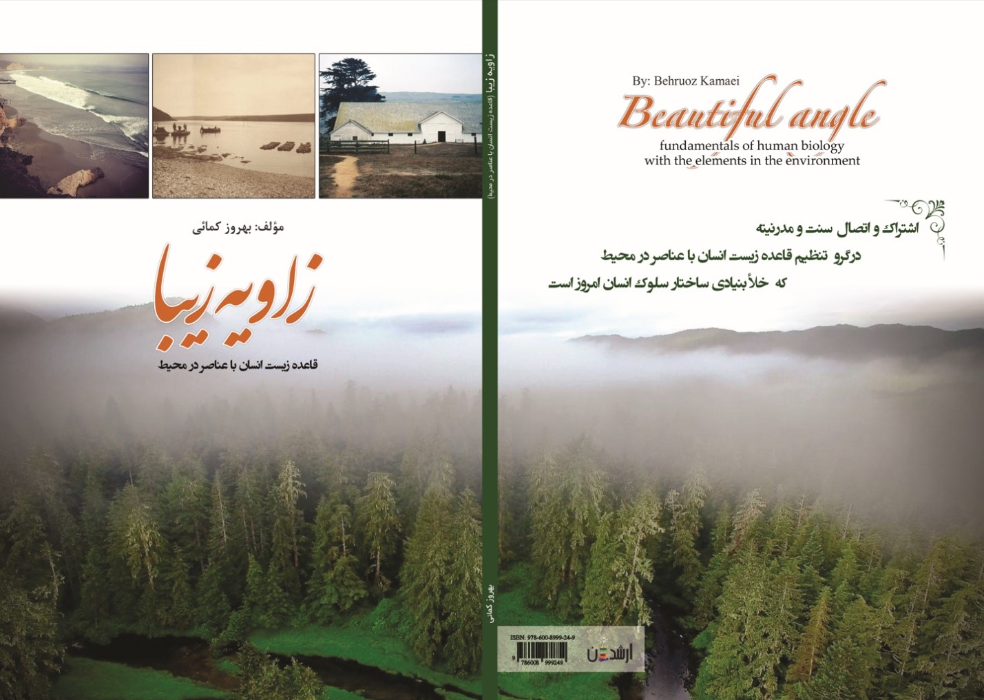 زاویه زیبا (قاعده زیست انسان با عناصر در محیط)