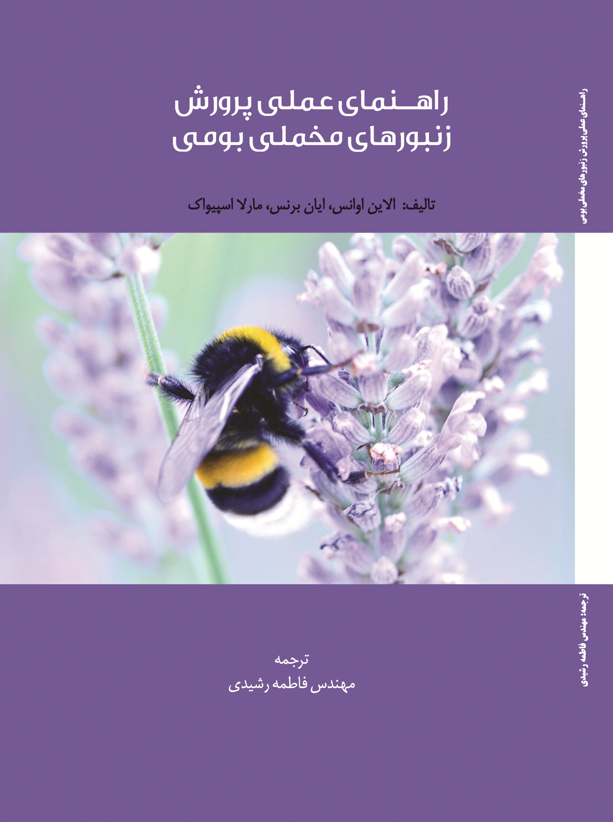 راهنمای عملی برای پرورش زنبورهای مخملی بومی