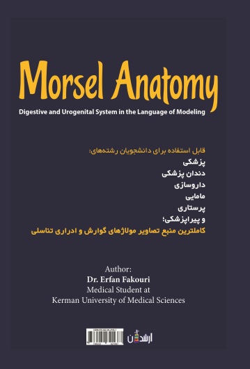 ناتومی لقمه=(morsel anatomy)