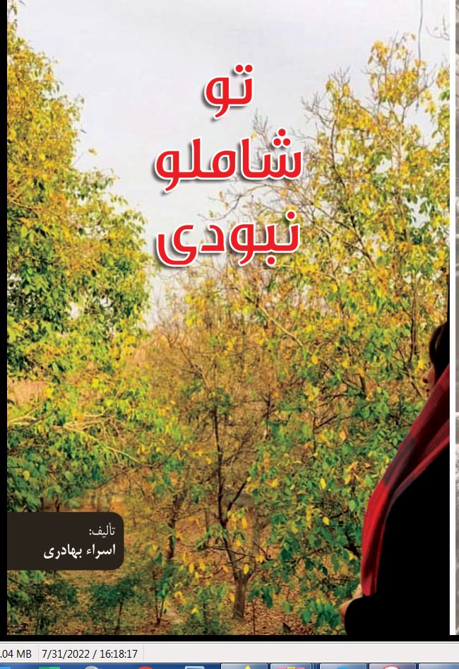 تو شاملو نبودی