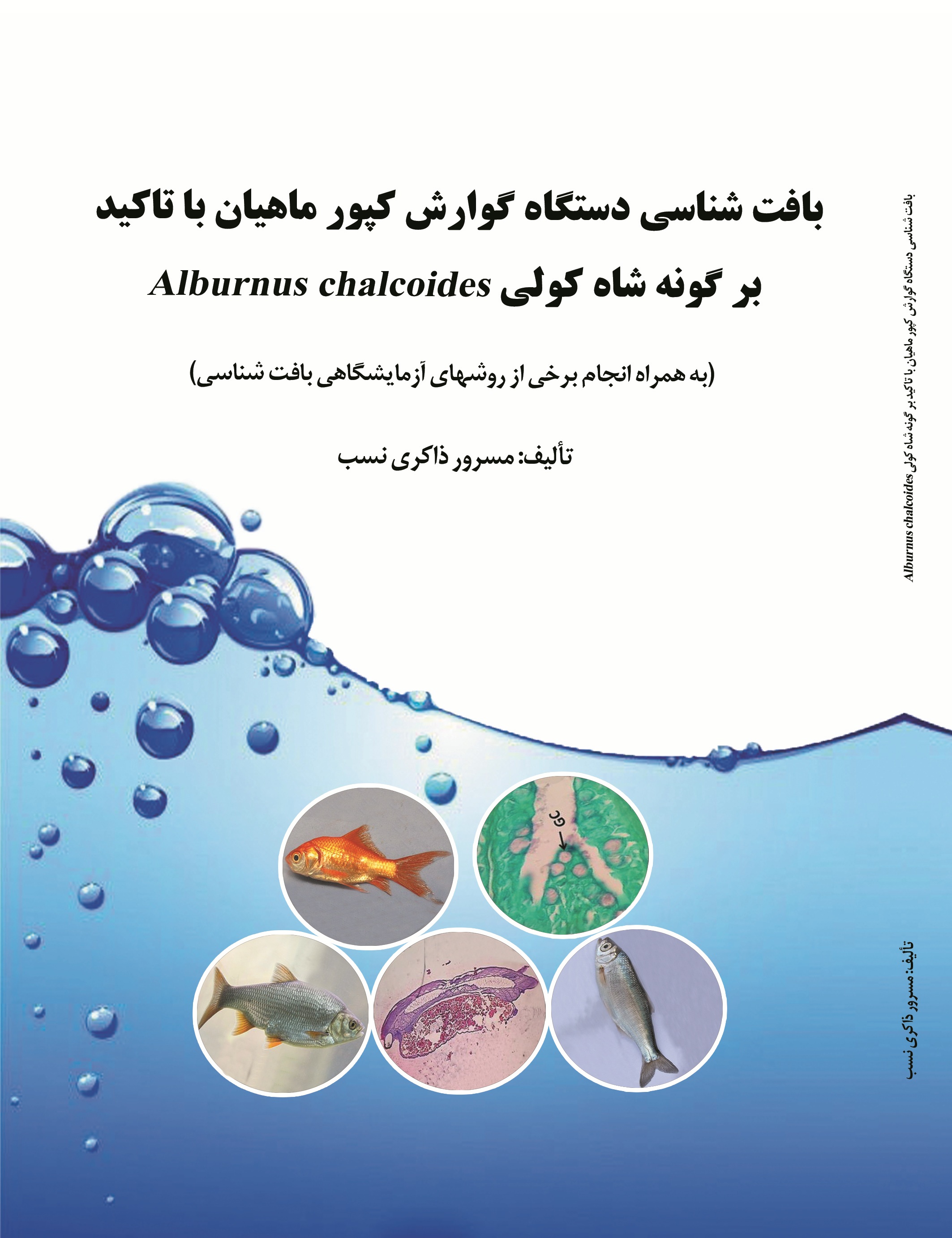 بافت شناسی دستگاه گوارش کپور ماهیان باتاکید بر گونه شاه کولی Alburnus chalcoides