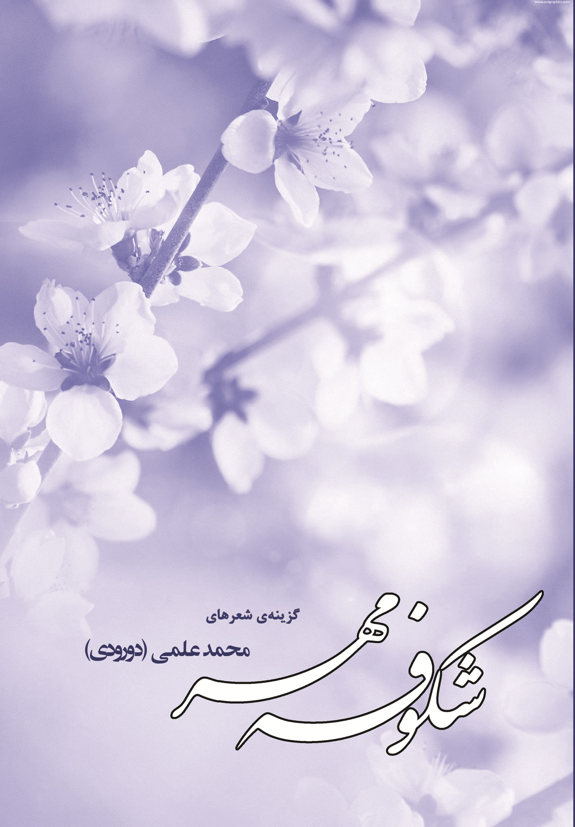 شکوفه ی مهر