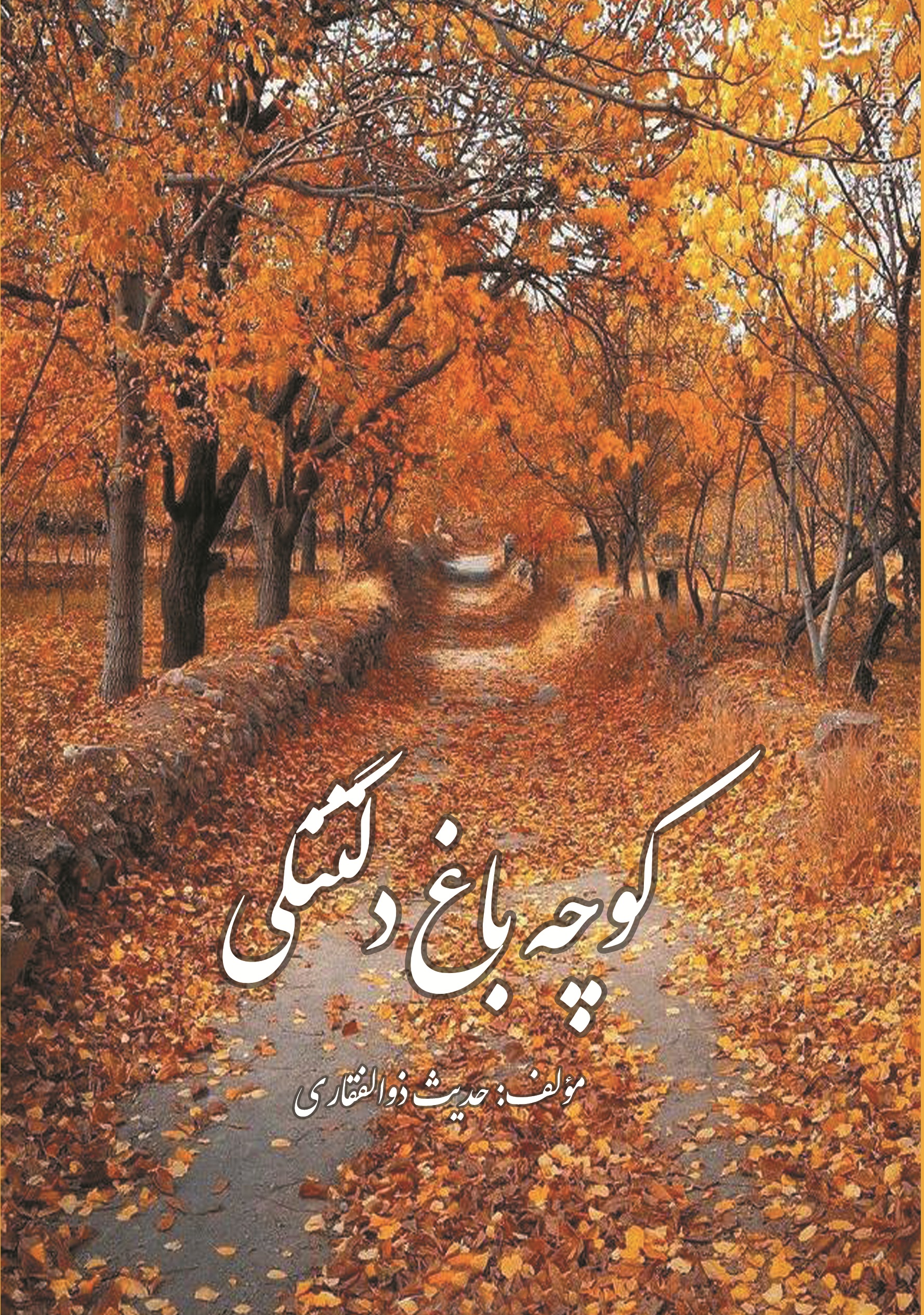 کوچه باغ دلتنگی
