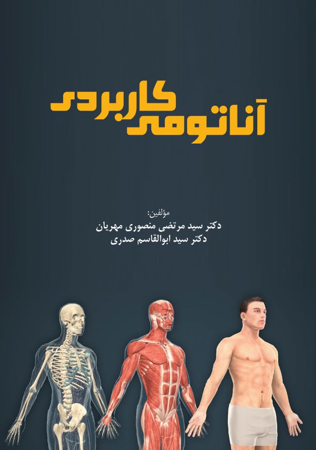 آناتومی کاربردی