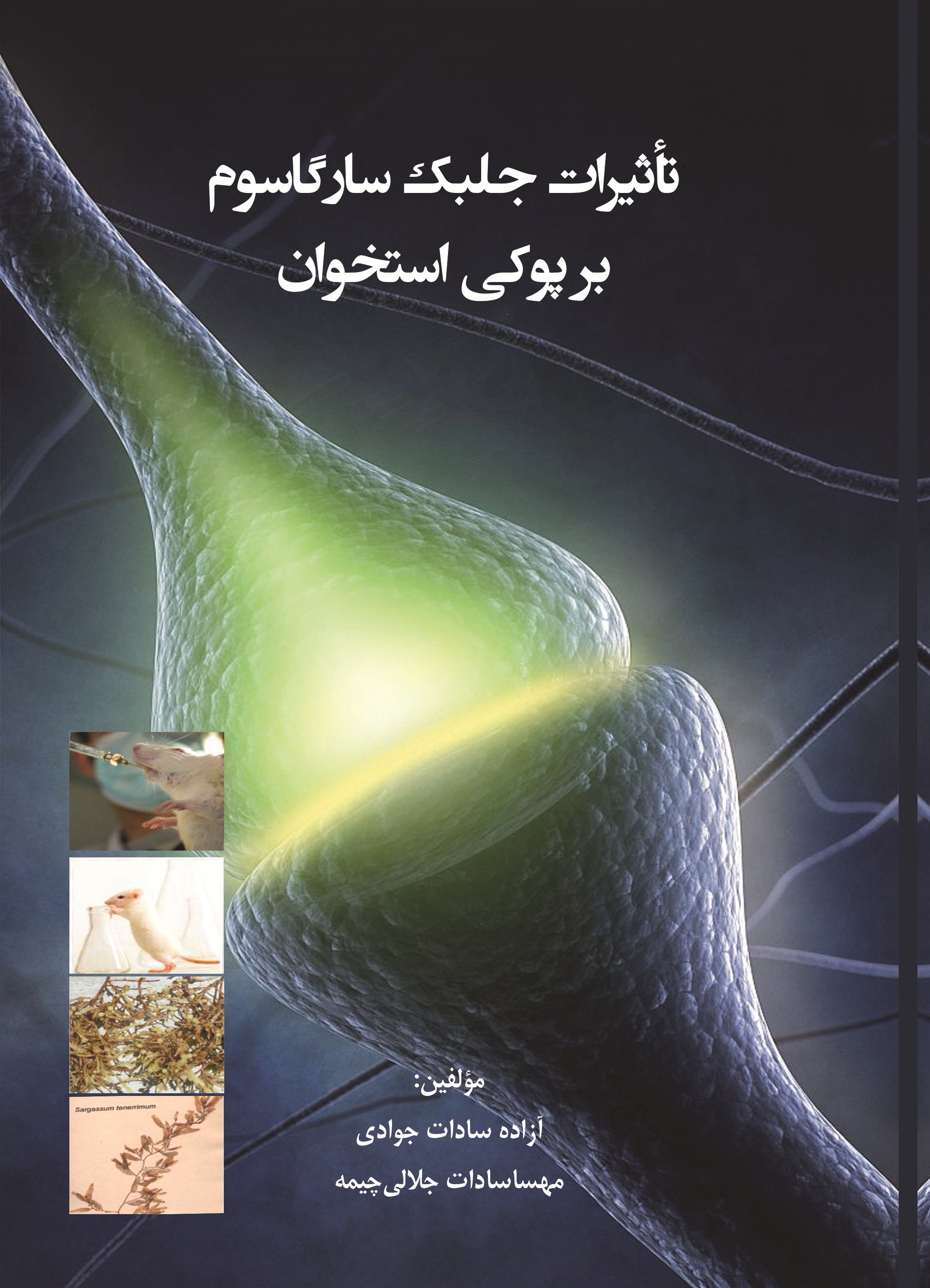 تاثیرات جلبک سارگاسوم بر پوکی استخوان