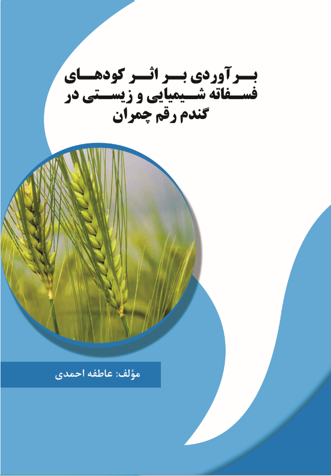برآوردی بر اثر کودهای فسفاته شیمیایی و زیستی در گندم رقم چمران