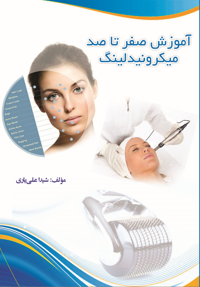 آموزش صفر تا صد میکرونیدلینگ