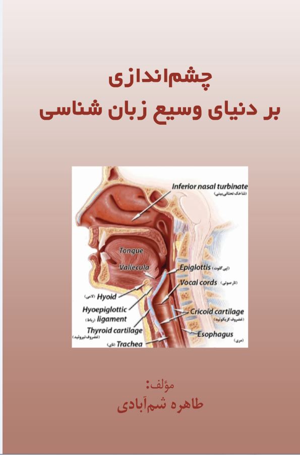 چشم اندازی بر دنیای وسیع زبان شناسی