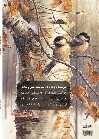 بوی نم و نارنج
