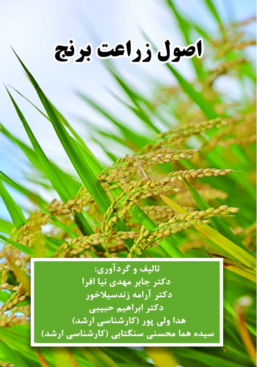 اصول زراعت برنج