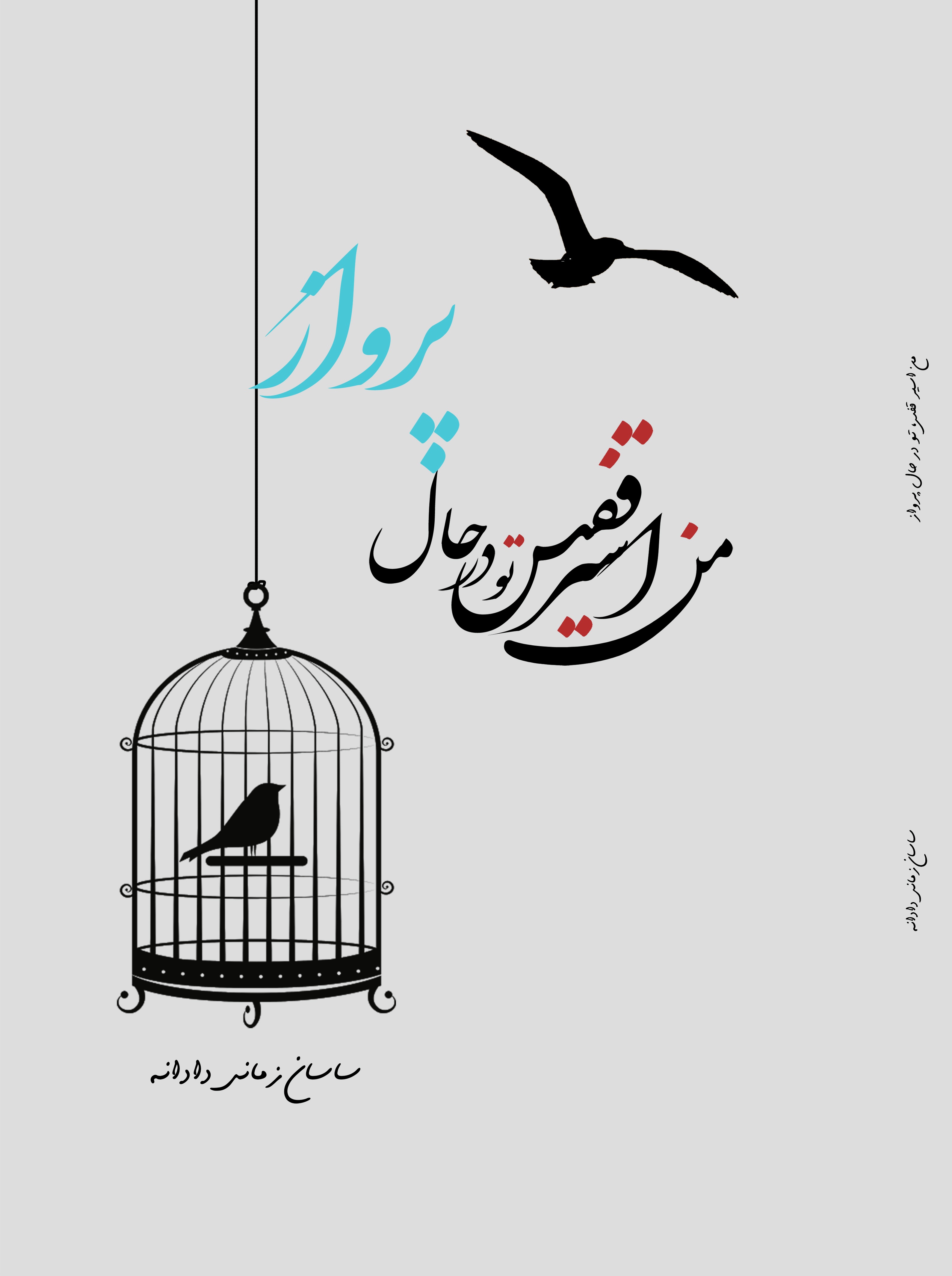 من اسیر قفس تو در حال پرواز