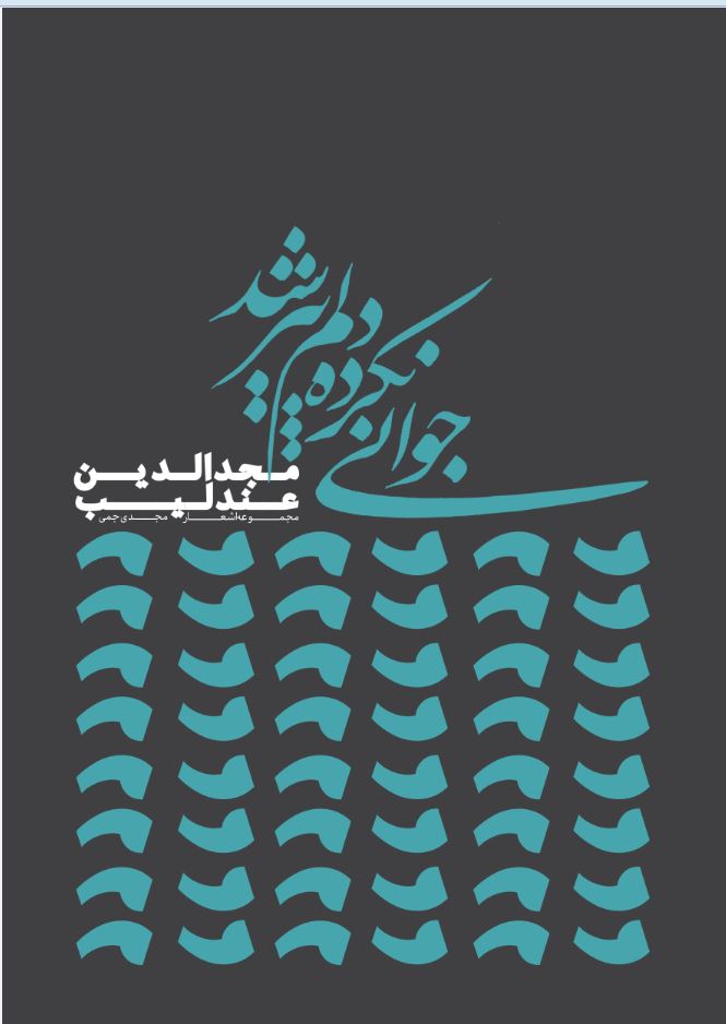 جوانی نکرده دلم پیر شد