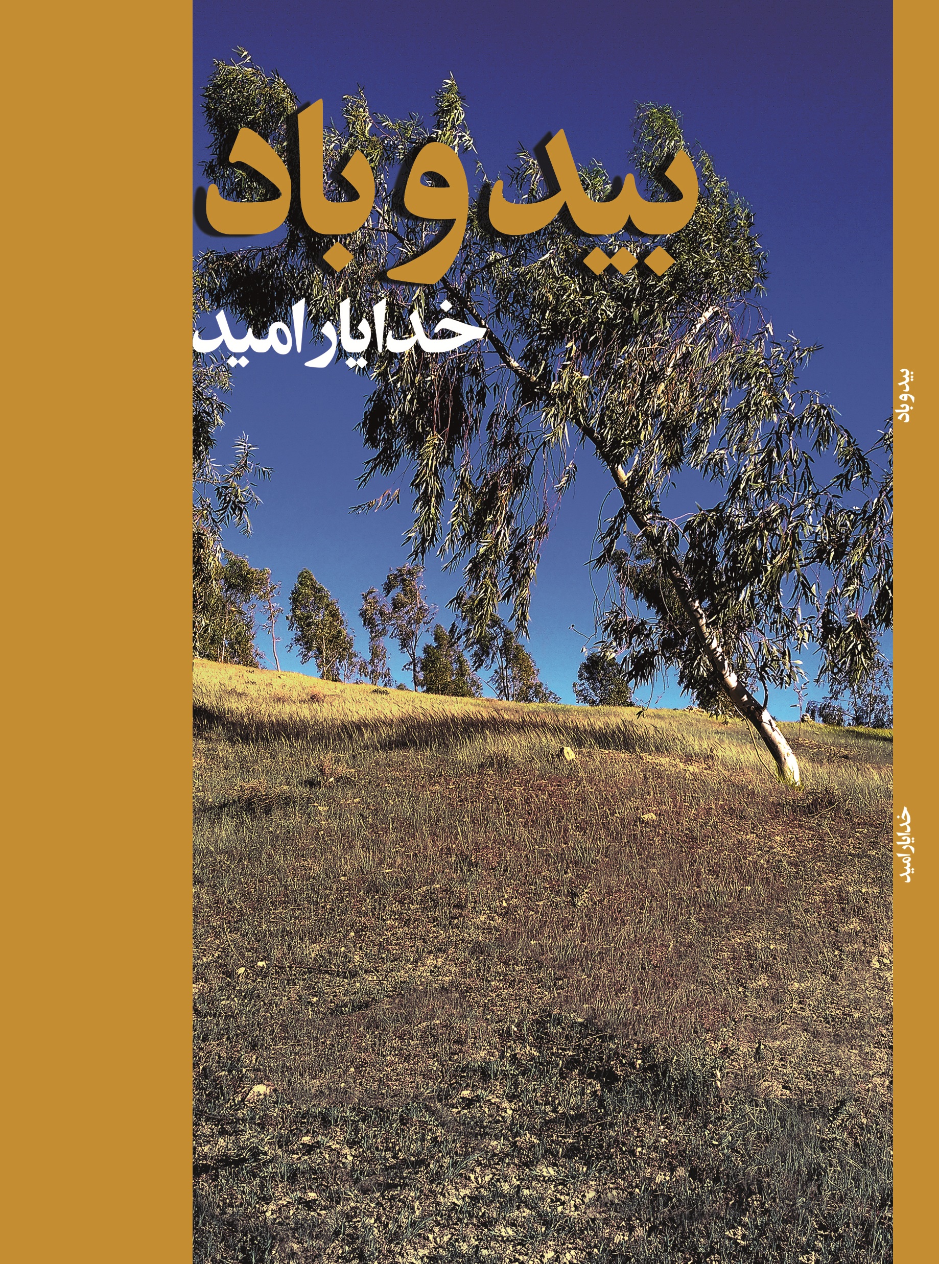 بید و باد