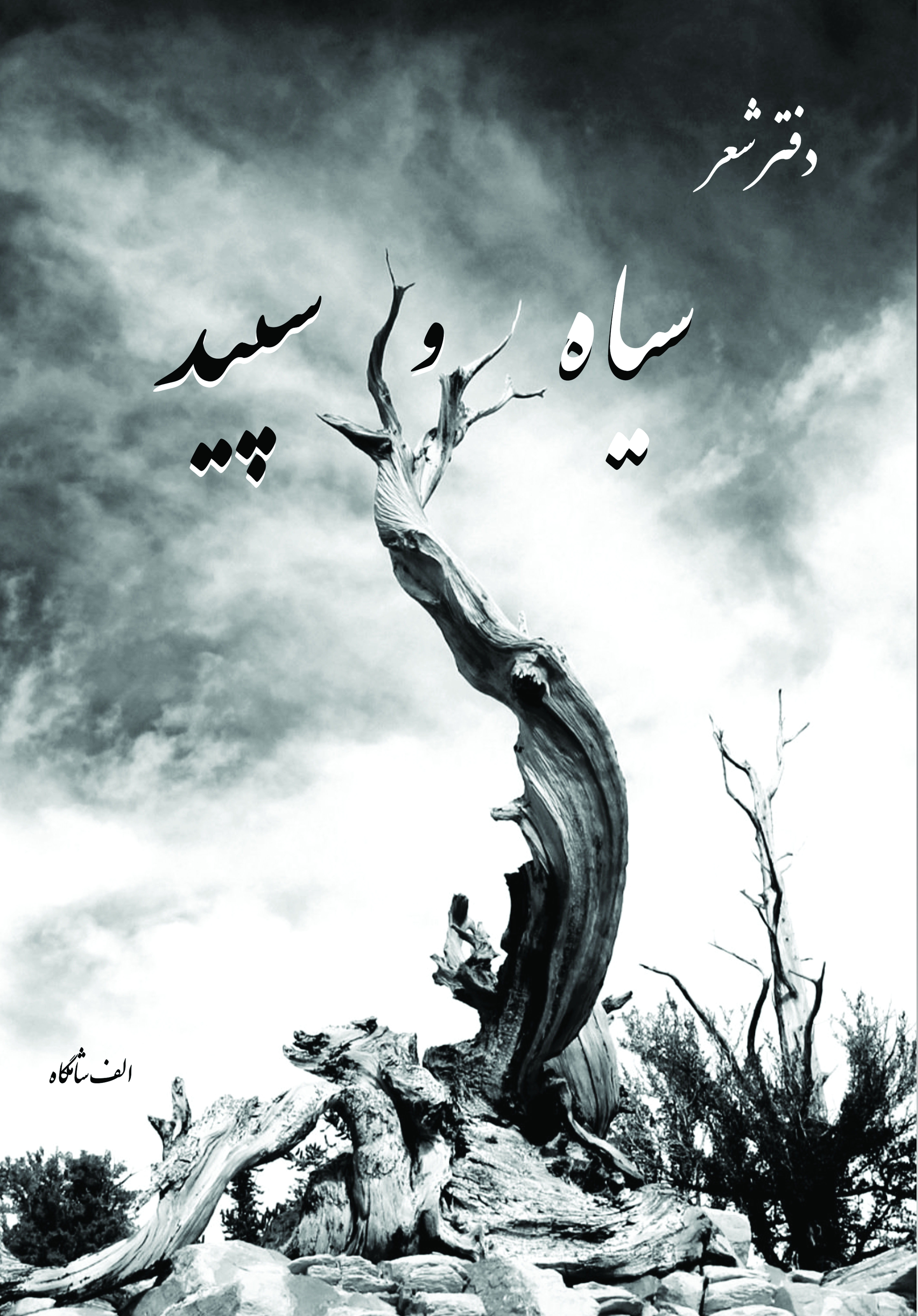 سیاه و سپید