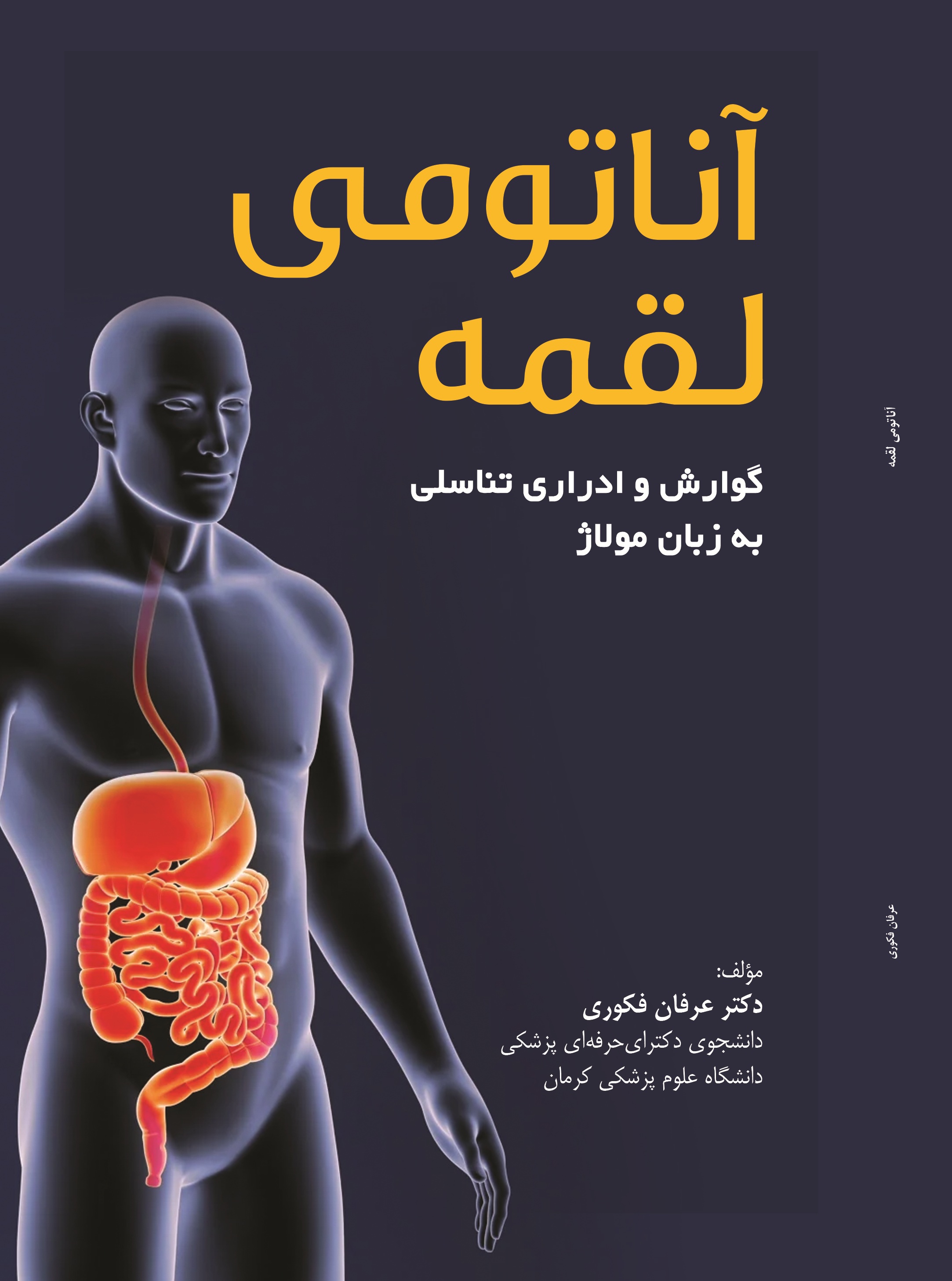ناتومی لقمه=(morsel anatomy)