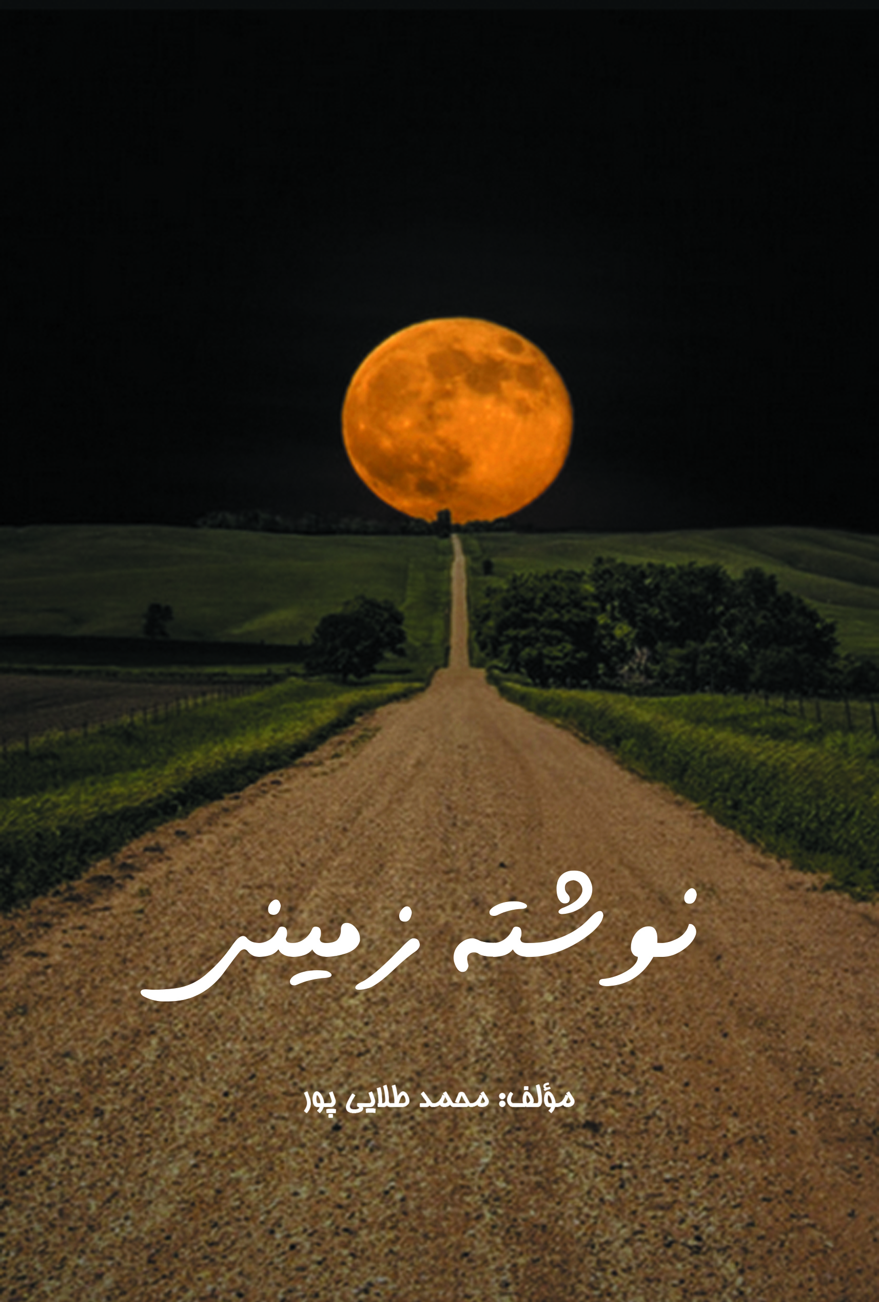 نوشته زمینی