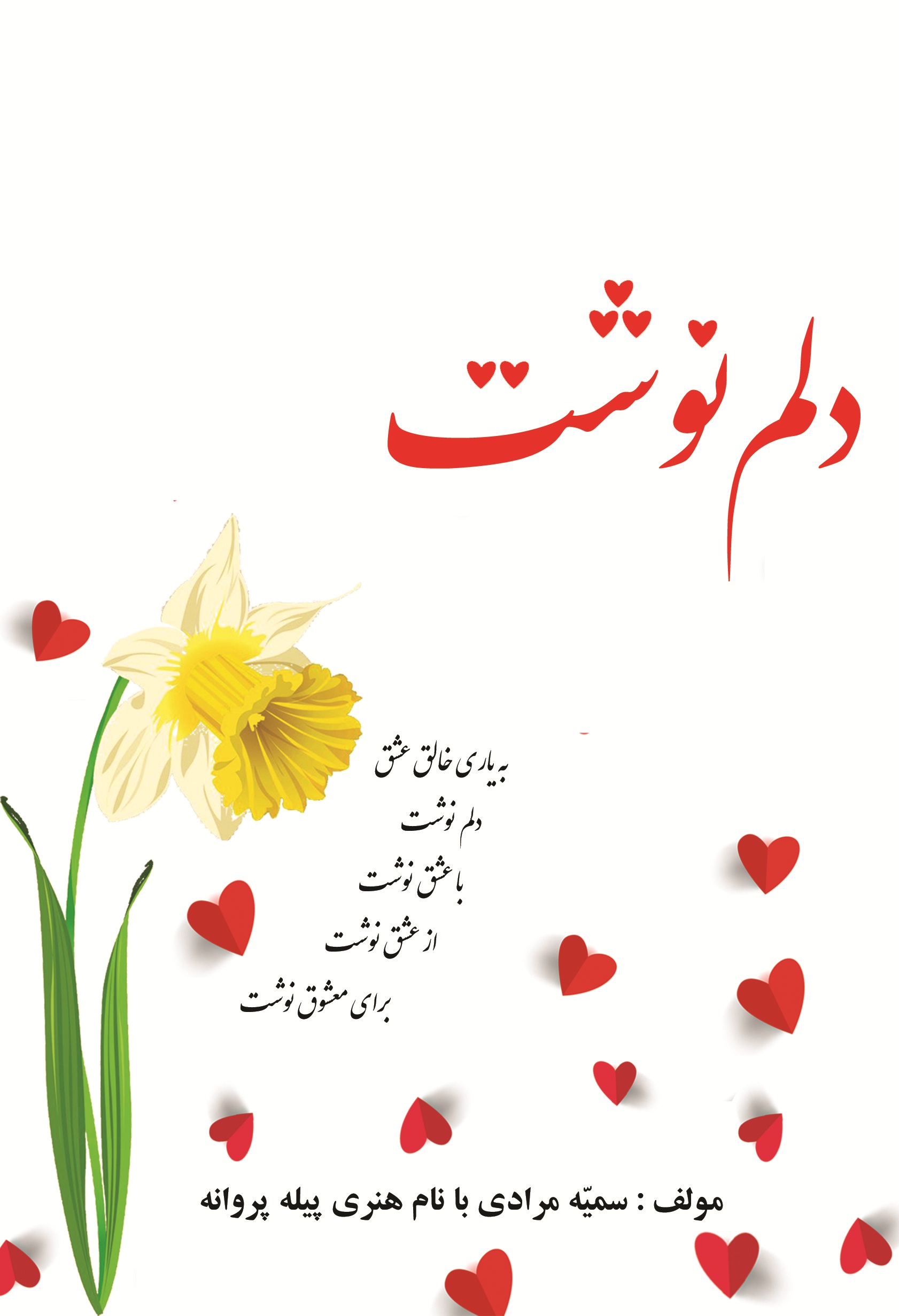 دلم نوشت