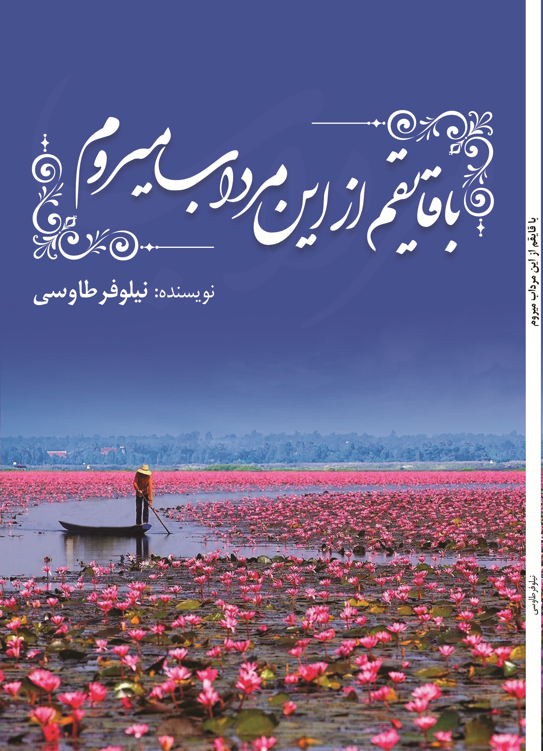 با قایقم از این مرداب می روم