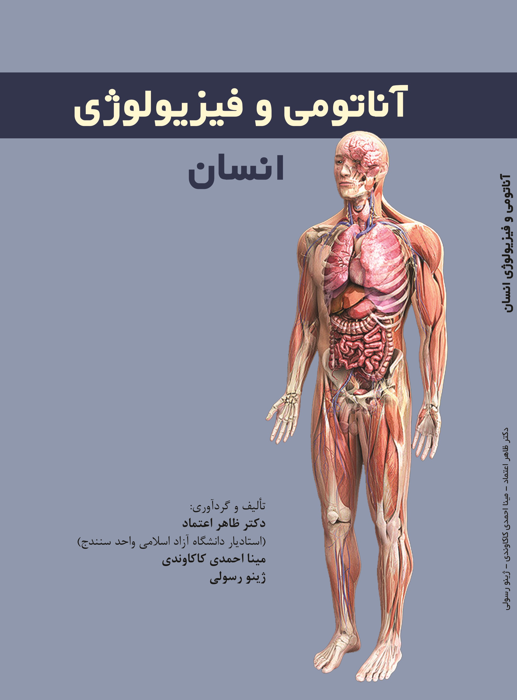 آناتومی و فیزیولوژی انسان