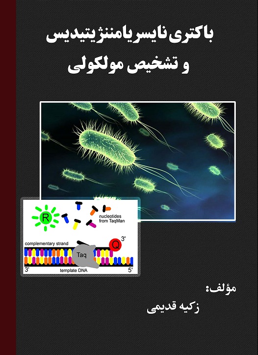 باکتری نایسریا مننژیتیدیس و تشخیص مولکولی