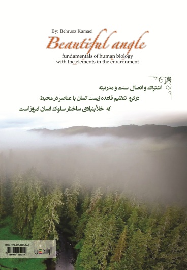 زاویه زیبا (قاعده زیست انسان با عناصر در محیط)
