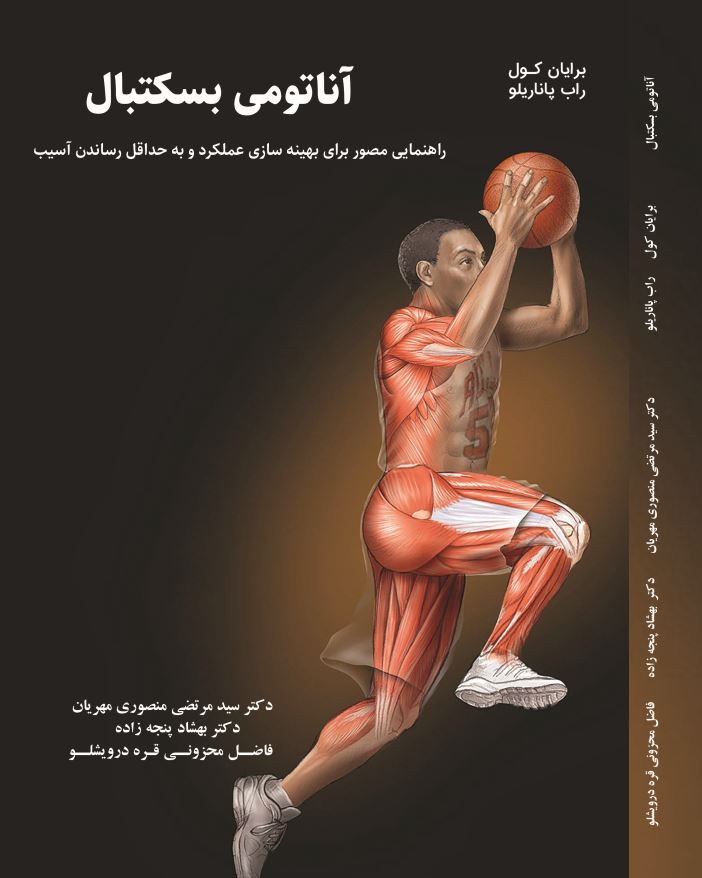 آناتومی بسکتبال